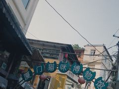 -猫咪博物馆(顶澳仔猫街店)
