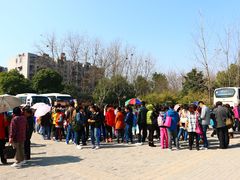 -合肥滨湖国家森林公园