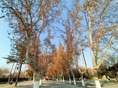 -汉长安城未央宫国家考古遗址公园