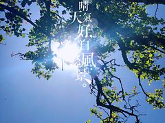 -秦岭风景区