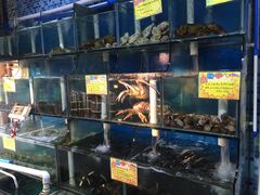 水产区-蚝专家(北滘店)