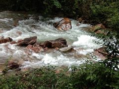 -九龙江国家森林公园