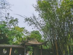 -广西壮族自治区药用植物园