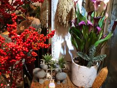 -花二家·生活馆(六运小区店)