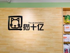 -猫十亿·布偶金渐层·曼基康矮脚猫舍(青年路店)