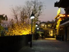 -小湾茶楼