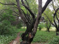 -长春市南湖公园