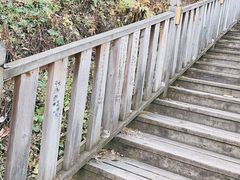 -帽儿山国家森林公园