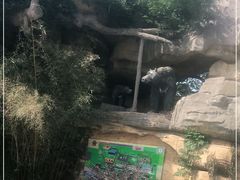 -东方熊牧场