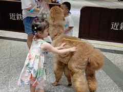 -1013 PET SHOP 宠物商店(近铁城市广场店)