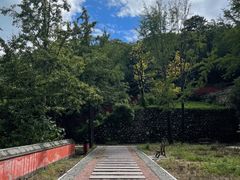 -阳台山自然风景区