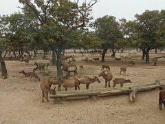-西安秦岭野生动物园