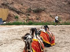 -天山神秘大峡谷