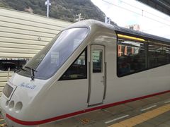 -伊豆观海列车