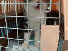-纳吉亚猫专科动物诊疗中心(蒋宅口分院)
