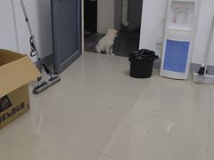 -鑫盛电脑科技(锦秋路店)