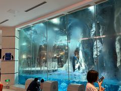 -帝企鹅自助餐厅•儿童岛•真企鹅(长隆企鹅酒店)