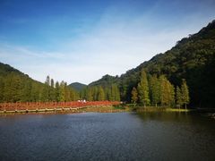 -广州市石门国家森林公园