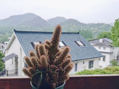 -马灯部落·西湖边的创意山景餐厅(虎跑动物园店)