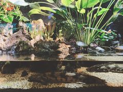 -太平洋海底世界