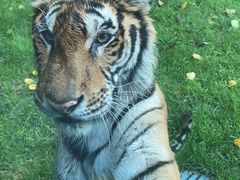 -北京野生动物园