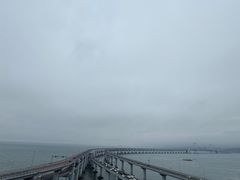 -星海湾跨海大桥
