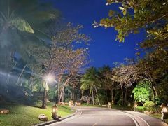 -海南清水湾莱佛士酒店