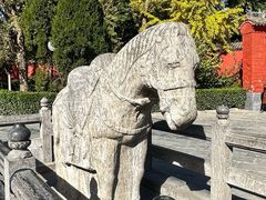 -洛阳白马寺