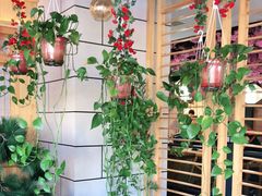 -九田家黑牛烤肉料理·自助(洪洞县城市花园店)