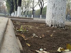 iphone_upload_pic-永定门公园