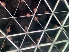 -香港科学馆