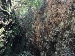 -云岫谷自然风景区
