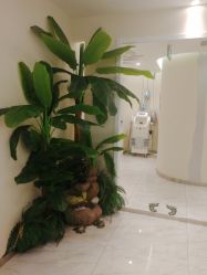 -健身堂科技美肌SPA