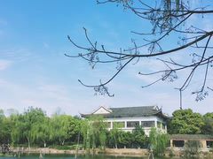 -范蠡湖公园