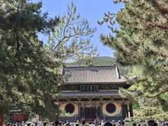 -晋祠公园