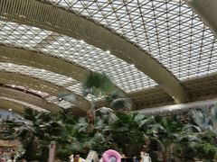 -杭州开元森泊度假乐园