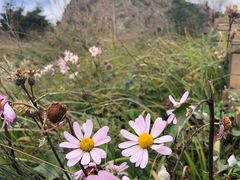 -白草畔自然风景区