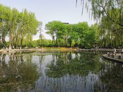 -玲珑塔公园