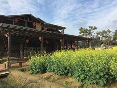 景点-盈香心动乐园