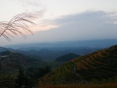 -紫鹊界梯田景区