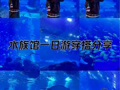 -成都浩海立方海洋公园