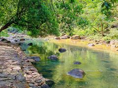 -广州白江湖森林公园