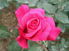 -人民公园(罗湖区)