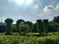 -东莞植物园