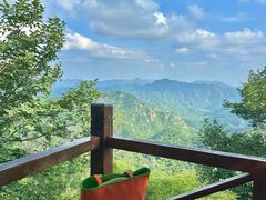-大岭沟猕猴桃谷风景区