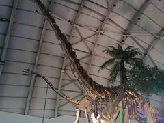 -辽宁古生物博物馆