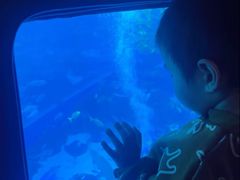 -成都浩海立方海洋公园