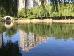 -团结湖公园