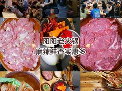 -阳阳老火锅(小南门店)