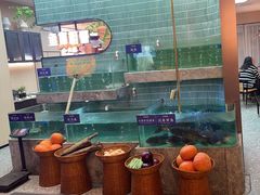 -鱼你相聚·河鲜馆(袁家岭店)